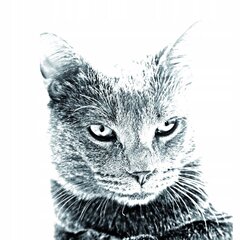 Подставка для ручки "Картузская кошка", подсвечник цена и информация | Kanceliarinės prekės | pigu.lt