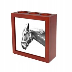 Raišklių laikiklis Hanoverio arklys kaina ir informacija | Kanceliarinės prekės | pigu.lt