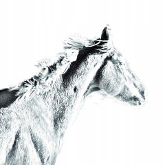Английская породистая лошадь Подставка для ручек цена и информация | Kanceliarinės prekės | pigu.lt
