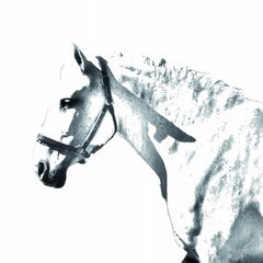 Raišklių laikiklis Ispaniškas arklys Normano kaina ir informacija | Kanceliarinės prekės | pigu.lt