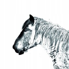 Raišklių laikiklis Belgiškas arklys kaina ir informacija | Kanceliarinės prekės | pigu.lt