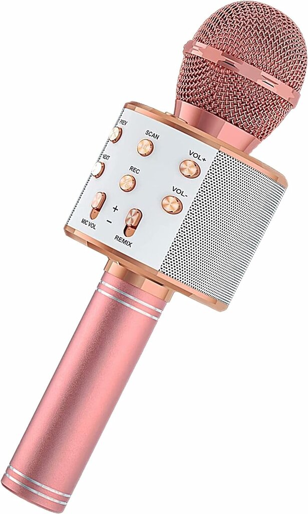 Bluetooth Karaoke mikrofonas цена и информация | Mikrofonai | pigu.lt