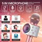 Bluetooth Karaoke mikrofonas цена и информация | Mikrofonai | pigu.lt