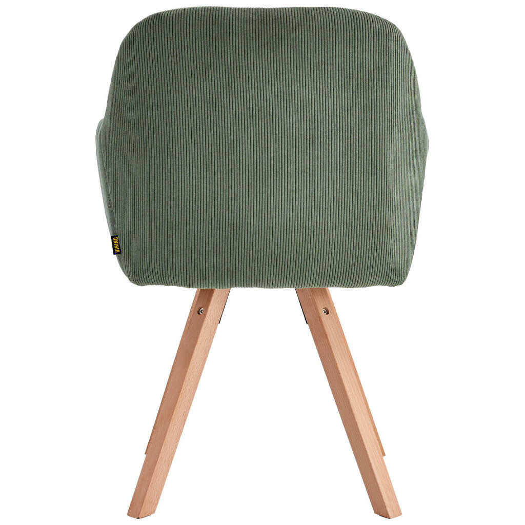 Kėdė Viking William, žalia kaina ir informacija | Virtuvės ir valgomojo kėdės | pigu.lt