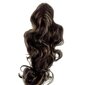 Prisegami plaukai Vanessa Grey T-505+4-6H27T24 kaina ir informacija | Plaukų aksesuarai | pigu.lt