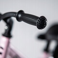 Balansinis dviratukas Cariboo Magnesium Pro 12, rožinis цена и информация | Балансировочные велосипеды | pigu.lt