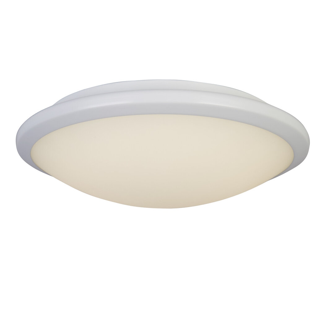 Searchlight lubinis šviestuvas Knutsford LED Flush 7938-30WH kaina ir informacija | Lubiniai šviestuvai | pigu.lt