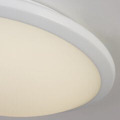 Потолочный светильник Searchlight Knutsford LED Flush 7938-30WH цена и информация | Потолочные светильники | pigu.lt