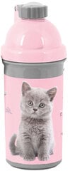 Gertuvė Paso Cat, 550 ml цена и информация | Фляги для воды | pigu.lt