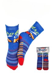 Носки для мальчиков be Snazzy, синий цвет цена и информация | Носки, колготки для мальчиков | pigu.lt