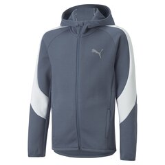 Детский джемпер PUMA Evostripe Full-Zip B Evening Sky 67006818, синий цена и информация | Свитеры, жилетки, пиджаки для мальчиков | pigu.lt