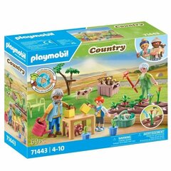 71443 Playmobil Country Seneliai su daržoviu sodu, 69 d. цена и информация | Конструкторы и кубики | pigu.lt