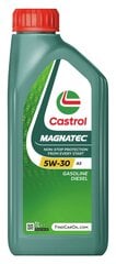 Синтетическое моторное масло Castrol Magnatec 5W-30 A5, 1 л цена и информация | Моторные масла | pigu.lt