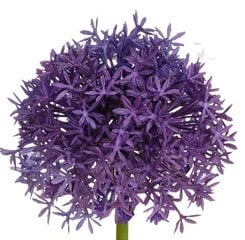 Dirbtinė česnako šaka, 58cm цена и информация | Искусственные цветы | pigu.lt