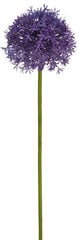 Dirbtinė česnako šaka, 58cm kaina ir informacija | Dirbtinės gėlės | pigu.lt