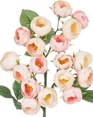 Dirbtinė smulkiažiedžių rožių šaka, 46cm kaina ir informacija | Dirbtinės gėlės | pigu.lt