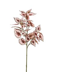 Dirbtinė Begonijos šaka, 62cm kaina ir informacija | Dirbtinės gėlės | pigu.lt