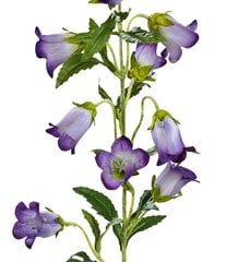 Dirbtiniai katilėliai, 88cm цена и информация | Искусственные цветы | pigu.lt