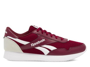 Laisvalaikio batai vyrams Reebok 100074148, raudoni kaina ir informacija | Kedai vyrams | pigu.lt