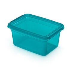Orplast dėžė su dangčiu ir spaustukais, 14x19x9 cm, mėlyna kaina ir informacija | Daiktadėžės | pigu.lt