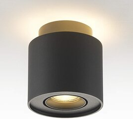 Budbuddy lubinis šviestuvas kaina ir informacija | Lubiniai šviestuvai | pigu.lt