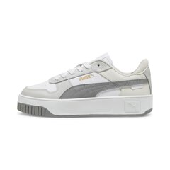 Laisvalaikio batai moterims Puma 389390204099686427856, įvairių spalvų цена и информация | Спортивная обувь, кроссовки для женщин | pigu.lt