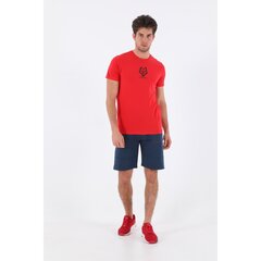 Marškinėliai vyrams Maraton 165417634783038361, raudoni цена и информация | Мужские футболки | pigu.lt