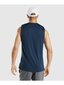Marškinėliai vyrams GymShark 167420607755516701, mėlyni kaina ir informacija | Vyriški marškinėliai | pigu.lt