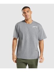 Marškinėliai vyrams GymShark 167420931228870591, pilki цена и информация | Мужские футболки | pigu.lt