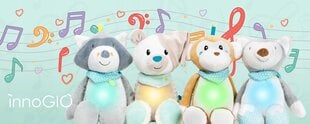 Интерактивная плюшевая игрушка InnoGIO Giofriends Lucy цена и информация | Игрушки для малышей | pigu.lt