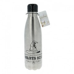 Vandens butelis Harry Poteris, 750ml цена и информация | Фляга | pigu.lt