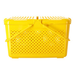 Iškylų krepšys, 31x39x23,5 cm цена и информация | Посуда для хранения еды | pigu.lt