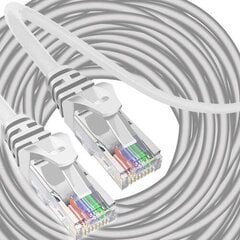Сетевой кабель Izoxis, RJ-45, 30м цена и информация | Кабели и провода | pigu.lt