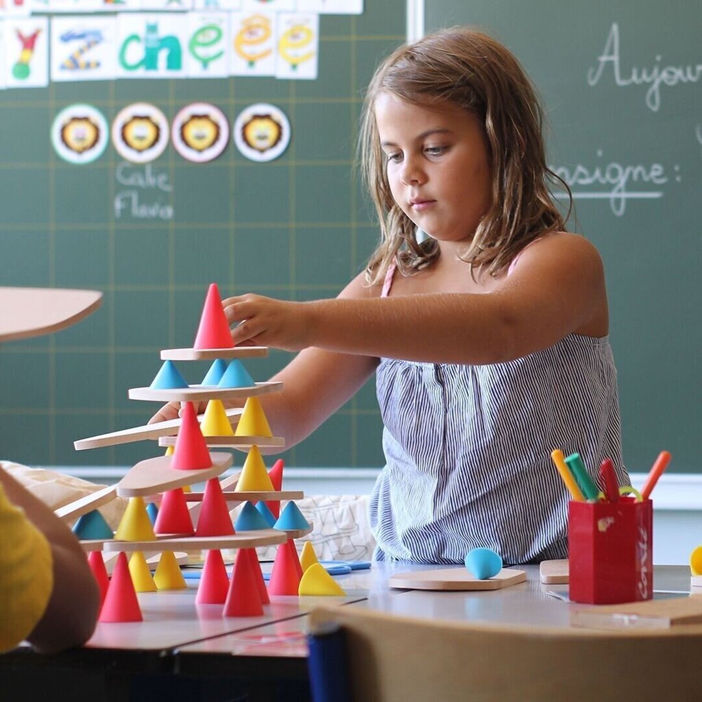 Edukacinis žaislas Educational Wooden Building Toy Piks Education Kit цена и информация | Lavinamieji žaislai | pigu.lt