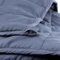Polar Night antklodė, 200x220 cm, 16 kg цена и информация | Antklodės | pigu.lt