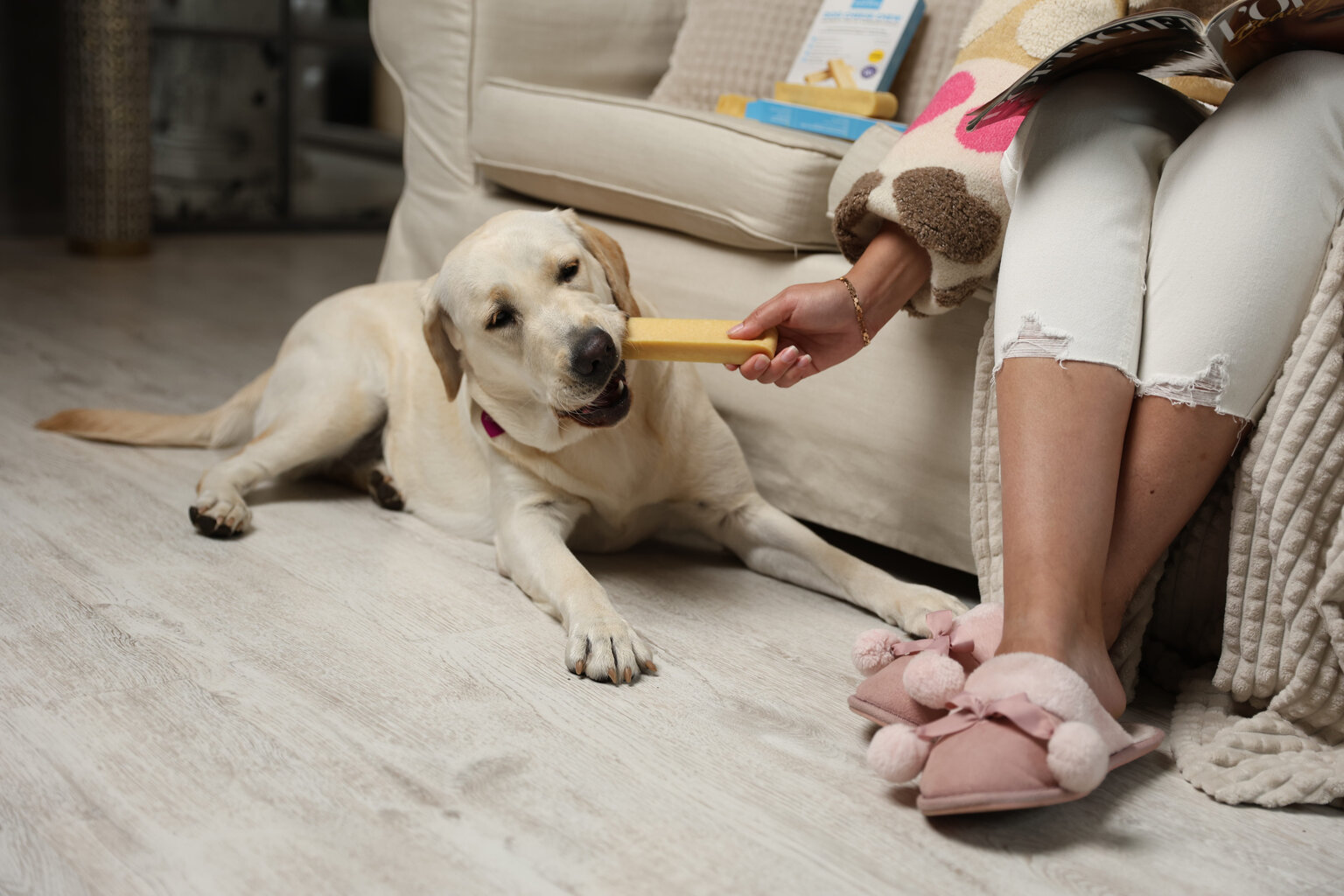 Wow Bites sūrio kaulai šunims, M, 3 vnt., 225g kaina ir informacija | Skanėstai šunims | pigu.lt