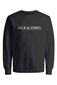 Džemperis vyrams Jack&Jones, juodas цена и информация | Megztiniai vyrams | pigu.lt