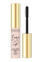 Antakių tušas Eveline Brow & Go!, 6 ml цена и информация | Карандаши, краска для бровей | pigu.lt