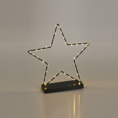 Šviečianti LED žvaigždė kaina ir informacija | Kalėdinės dekoracijos | pigu.lt
