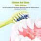 Livman ALYS-01 цена и информация | Elektriniai dantų šepetėliai | pigu.lt