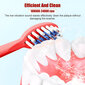 Livman ALYS-01 kaina ir informacija | Elektriniai dantų šepetėliai | pigu.lt