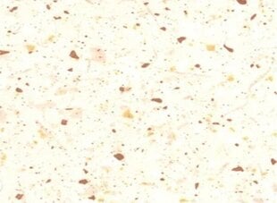 Кухонная столешница Meblocross 290 см, белый/коричневый цвет цена и информация | Столешницы для кухни | pigu.lt