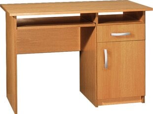 Письменный стол Olcha Jas 2, коричневый цена и информация | Компьютерные, письменные столы | pigu.lt