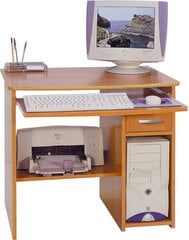 Rašomasis stalas Olcha Medium, rudas kaina ir informacija | Kompiuteriniai, rašomieji stalai | pigu.lt