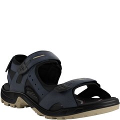 Ecco basutės vyrams Offroad sandals, mėlynos kaina ir informacija | Vyriškos šlepetės, basutės | pigu.lt