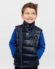 Жилет Gulliver для мальчиков, синий цвет цена и информация | Куртка для мальчика | pigu.lt