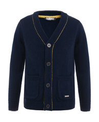 Megztinis berniukams Gulliver, mėlynas kaina ir informacija | Megztiniai, bluzonai, švarkai berniukams | pigu.lt