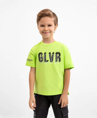 Футболка Gulliver для мальчиков, зеленая цена и информация | Рубашки для мальчиков | pigu.lt