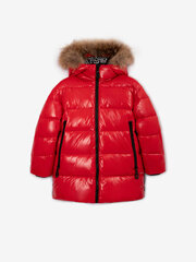 Куртка для мальчиков Gulliver, красный цвет цена и информация | Куртки для мальчиков | pigu.lt