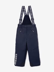 Лыжные штаны для мальчиков Gulliver, синий цвет цена и информация | Зимняя одежда для детей | pigu.lt